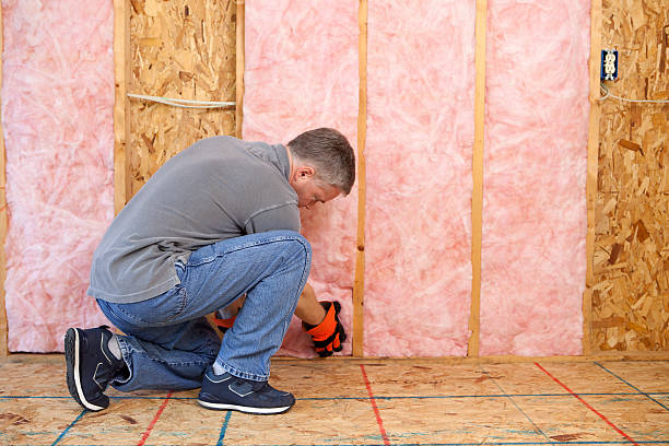 Best Spray Foam Insulation  in Friendly, MD